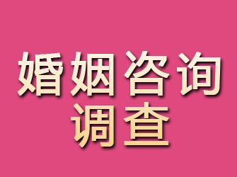 平桥婚姻咨询调查